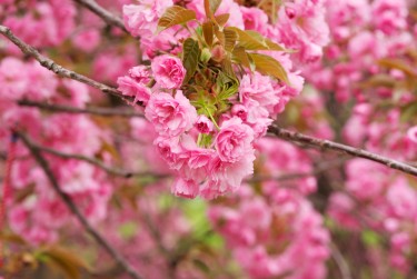 常州武进区9线下个人借款平台一站式服务，轻松解决资金难题