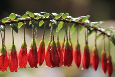 常州武进区9零用贷短借：轻松解决临时资金需求