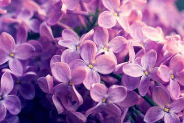 常州武进区9企业急用钱贷款攻略：快速融资解燃眉之急